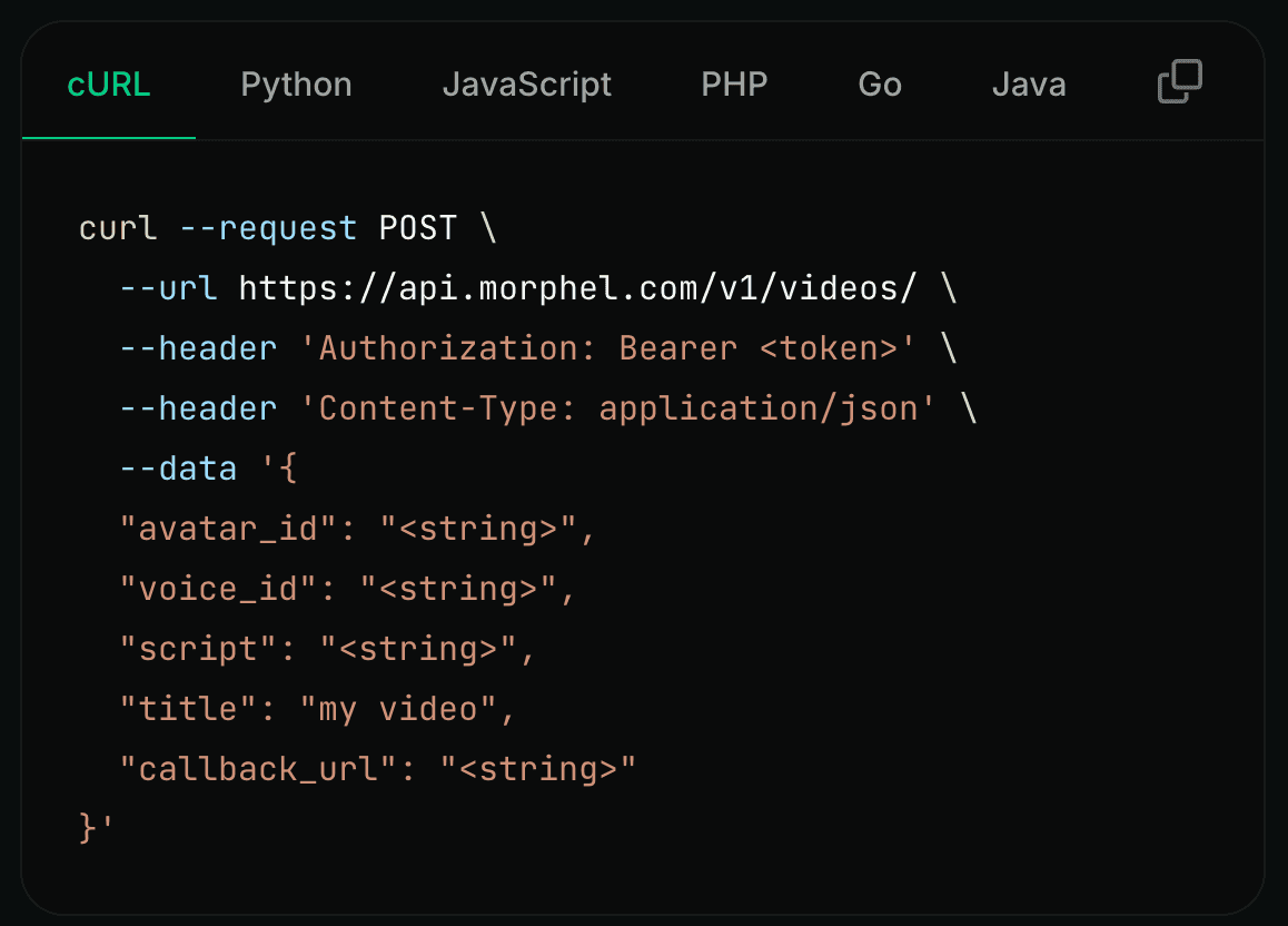 API code snippet example